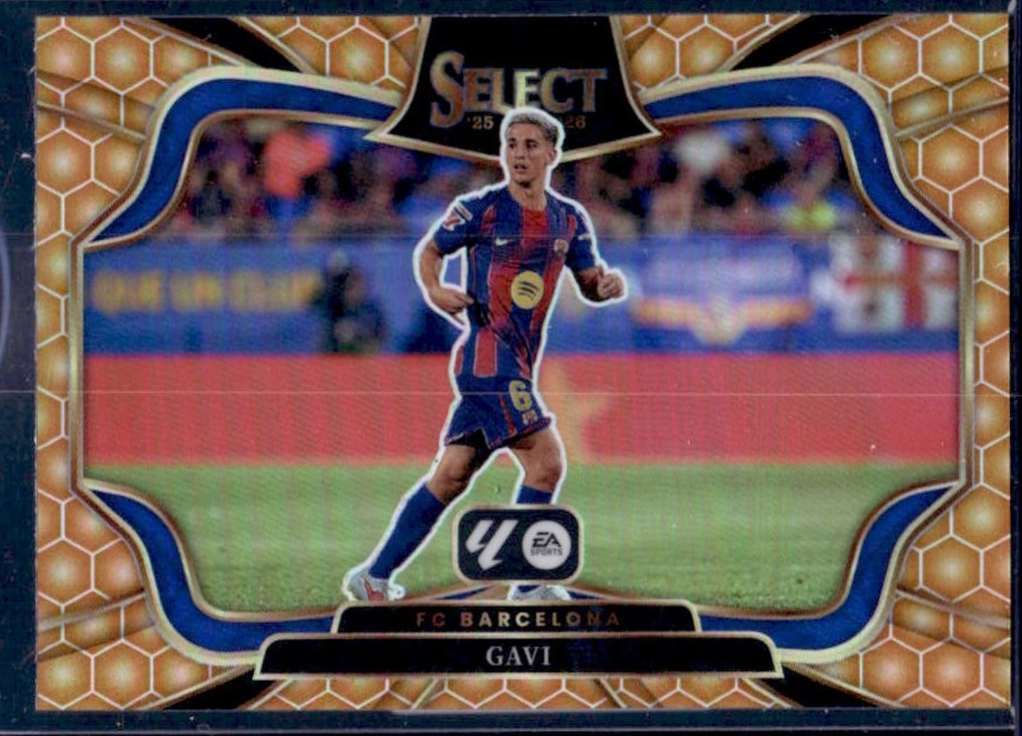 Gavi [Honeycomb] #238