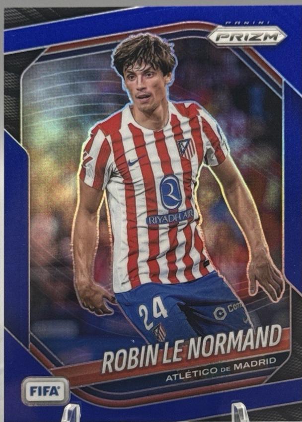 Robin Le Normand [Blue] #5