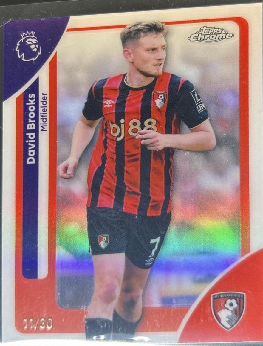 David Brooks [White Refractor] #4