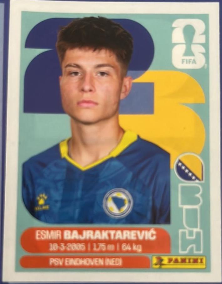 Esmir Bajraktarevic #BIH15