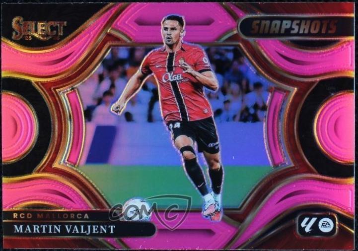 Martin Valjent [Pink] #7