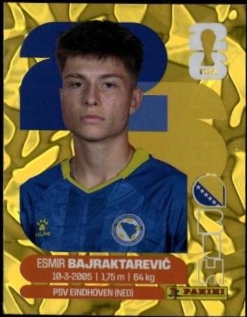Esmir Bajraktarevic [Gold Flood Crumple] #BIH15