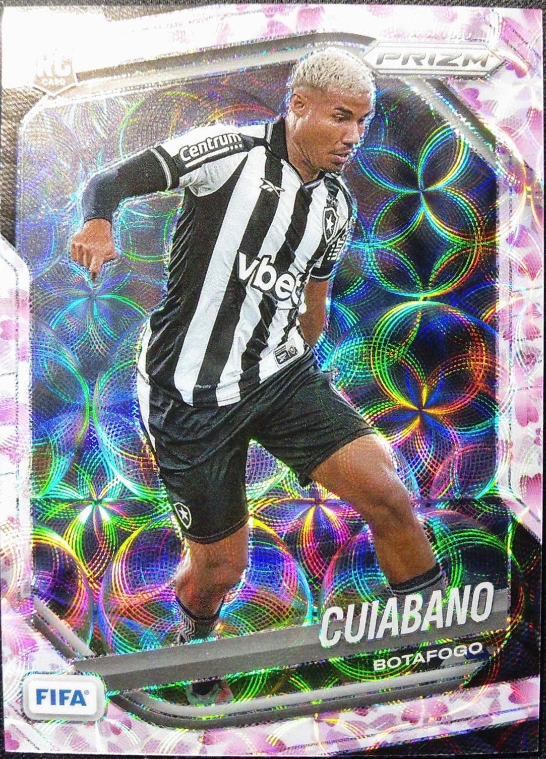 Cuiabano [Choice Cherry Blossom] #71