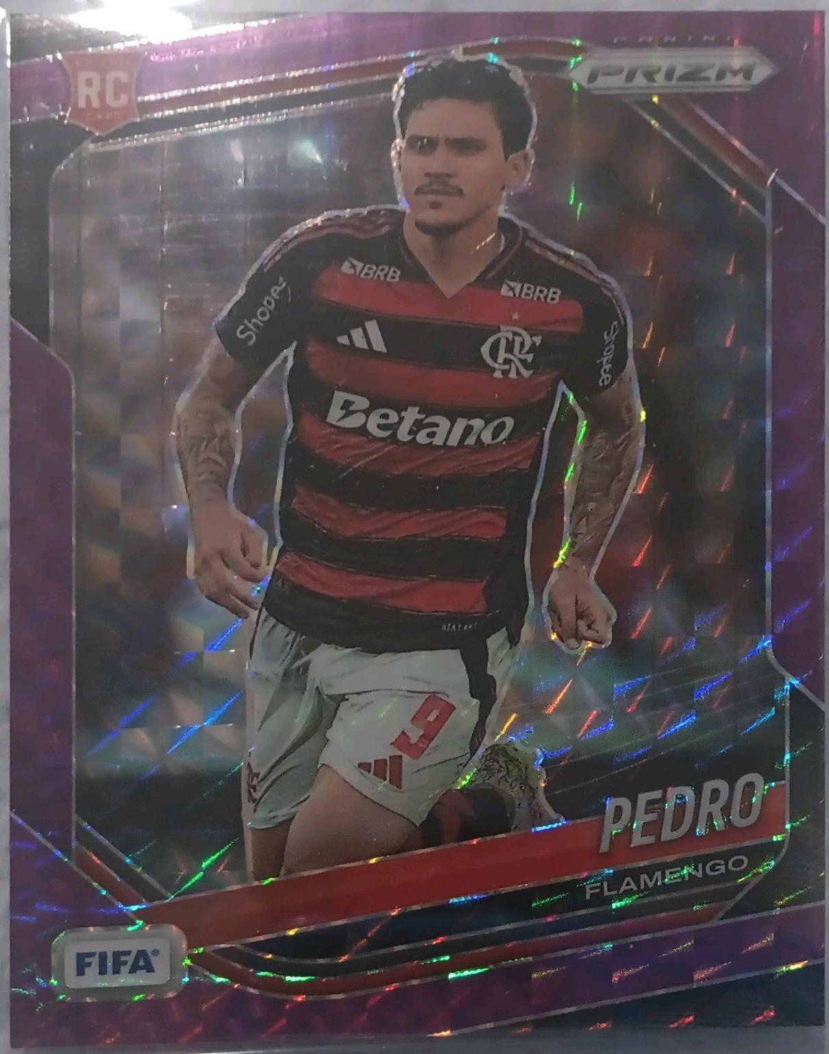 Pedro [Purple Mosaic] #49