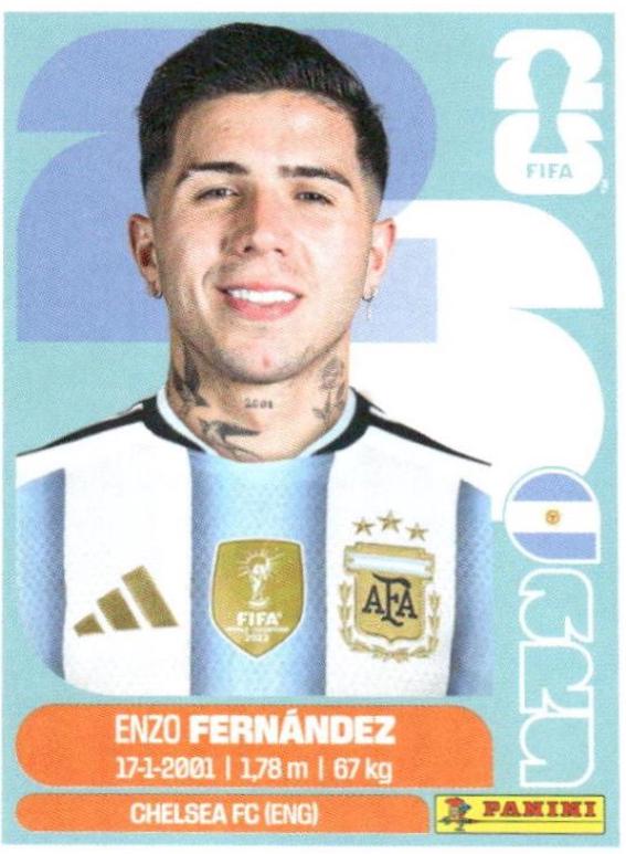 Enzo Fernandez #ARG8