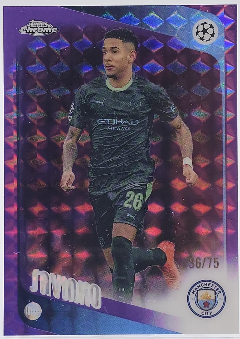 Savinho [Purple Geometric Refractor] #33