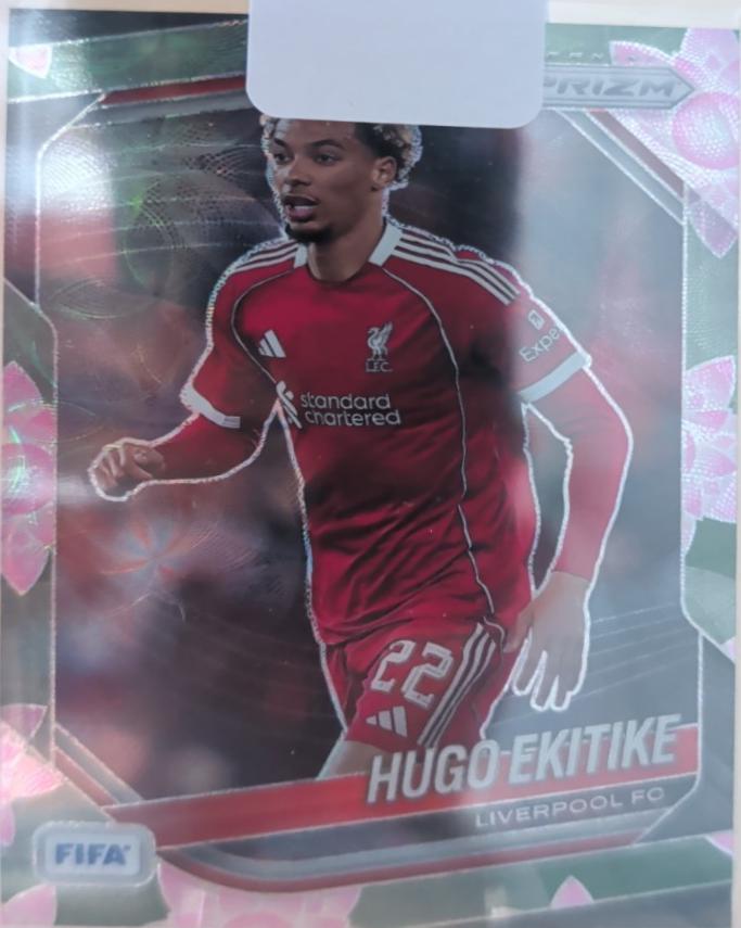 Hugo Ekitike [Choice Lotus Flower] #97