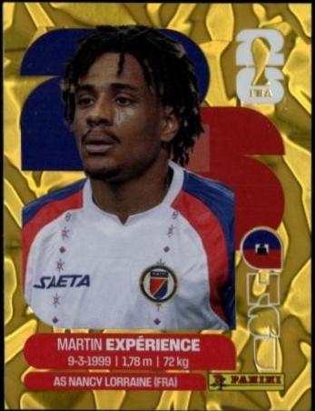 Martin Experience [Gold Flood Crumple] #HAI4