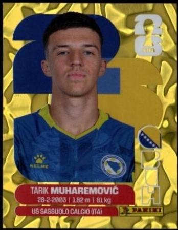 Tarik Muharemovic [Gold Flood Crumple] #BIH5