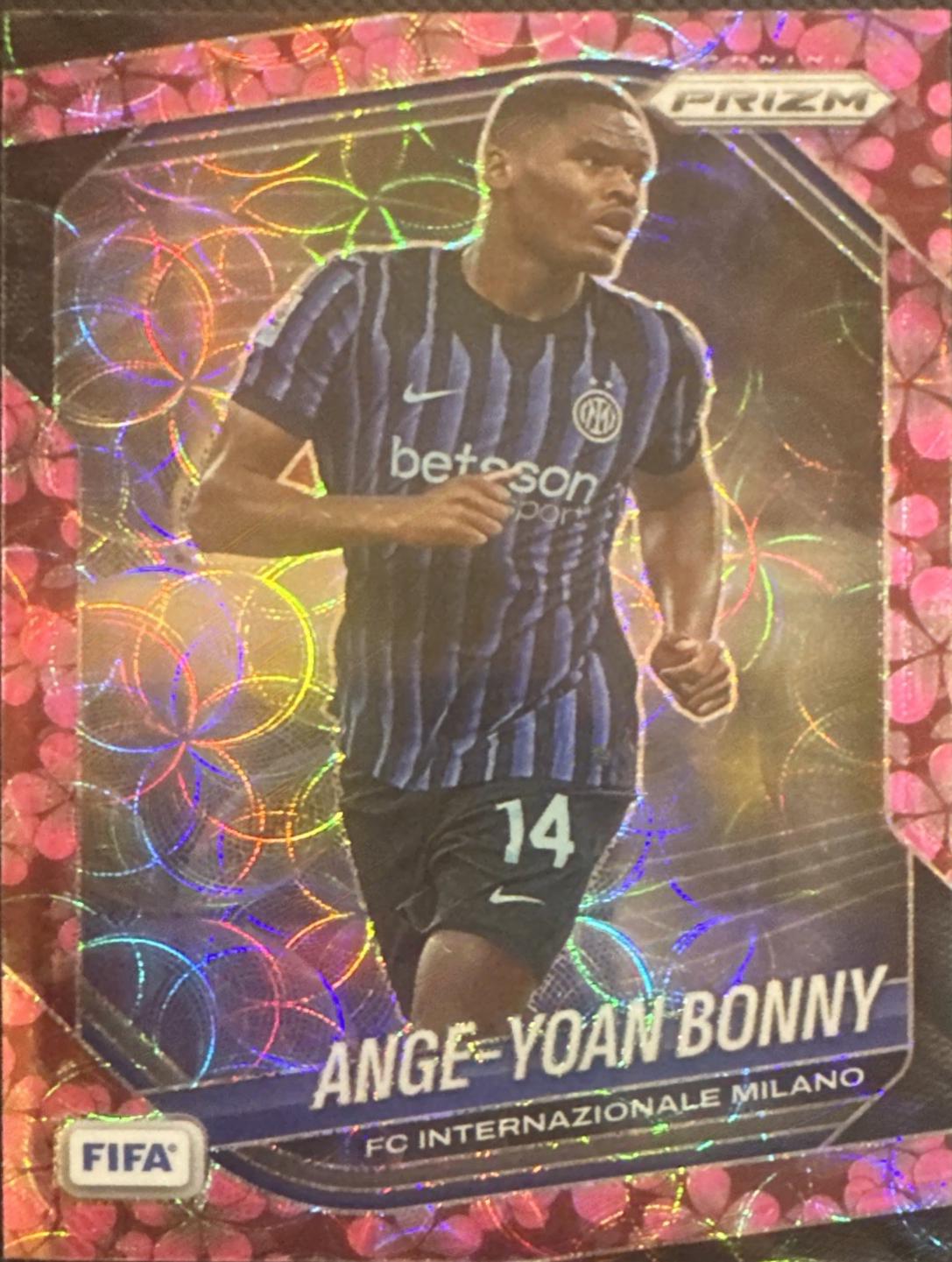 Ange-Yoan Bonny [Choice Plum Blossom] #82