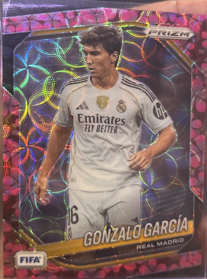 Gonzalo Garcia [Pink Mosaic] #180