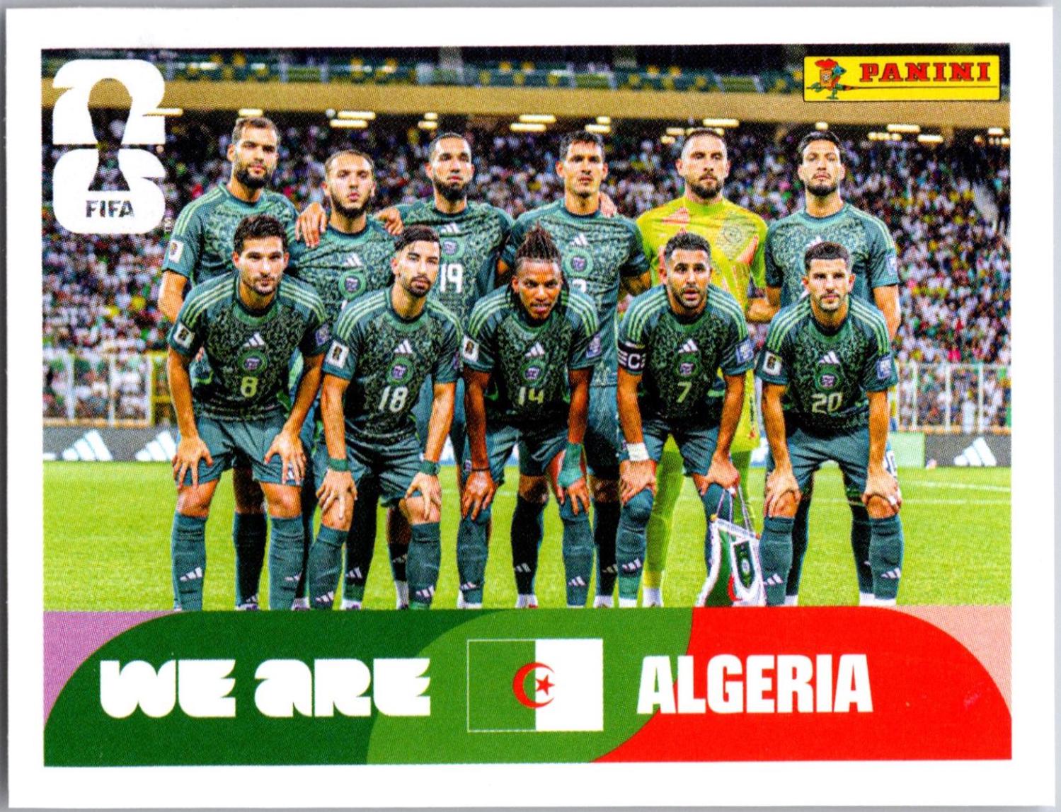 Algeria Team #ALG13