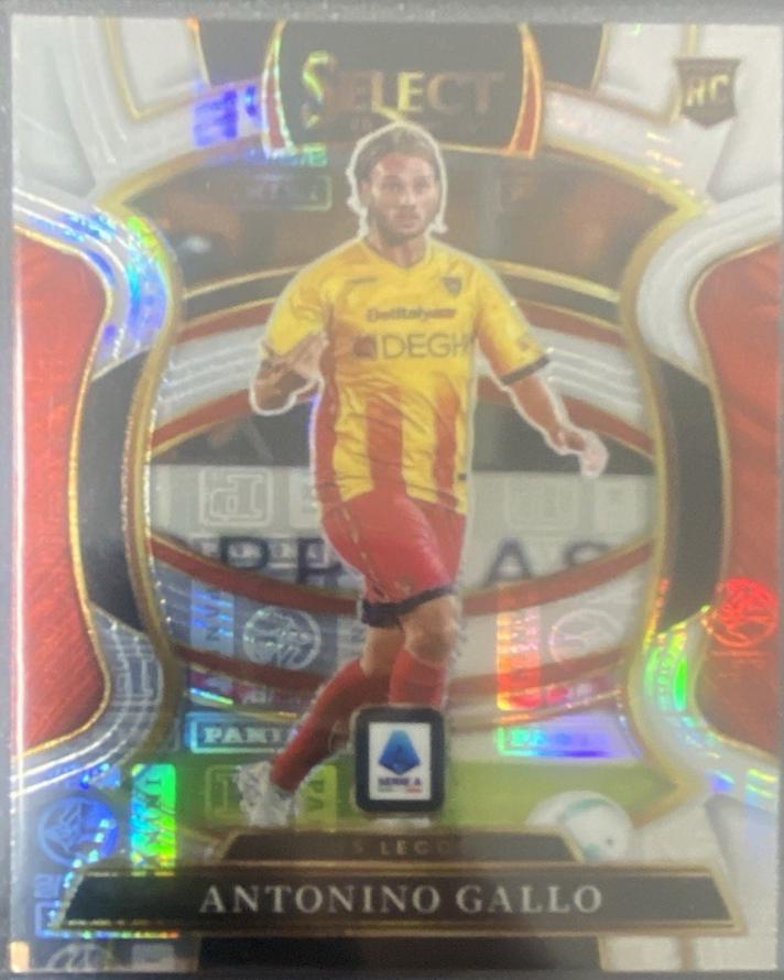 Antonino Gallo [Panini Logo] #84