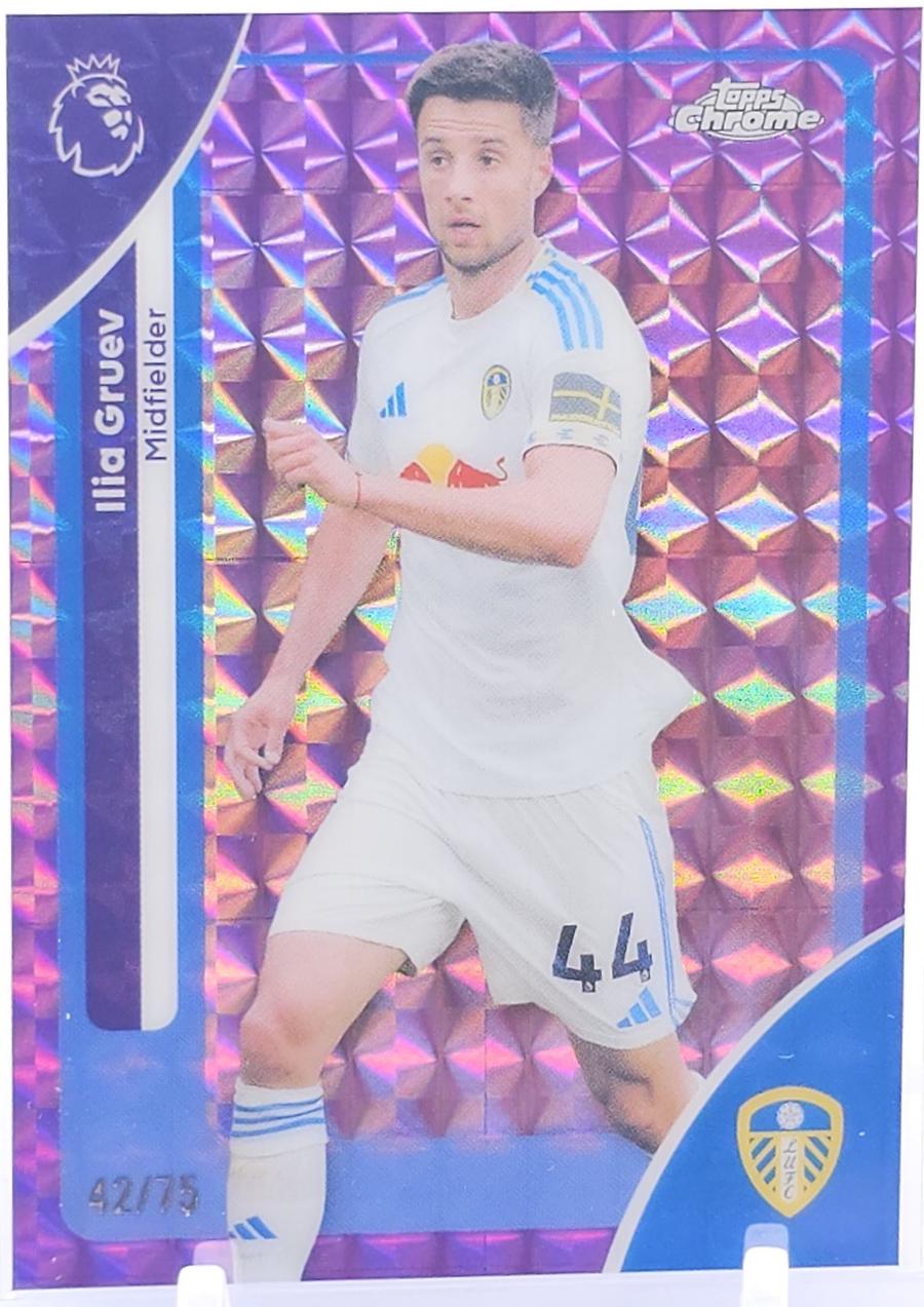 Ilia Gruev [Purple Geometric Refractor] #101