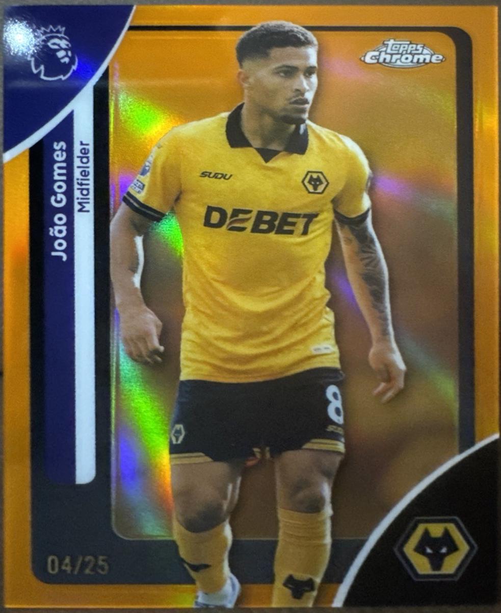 Joao Gomes [Orange Logofractor] #194