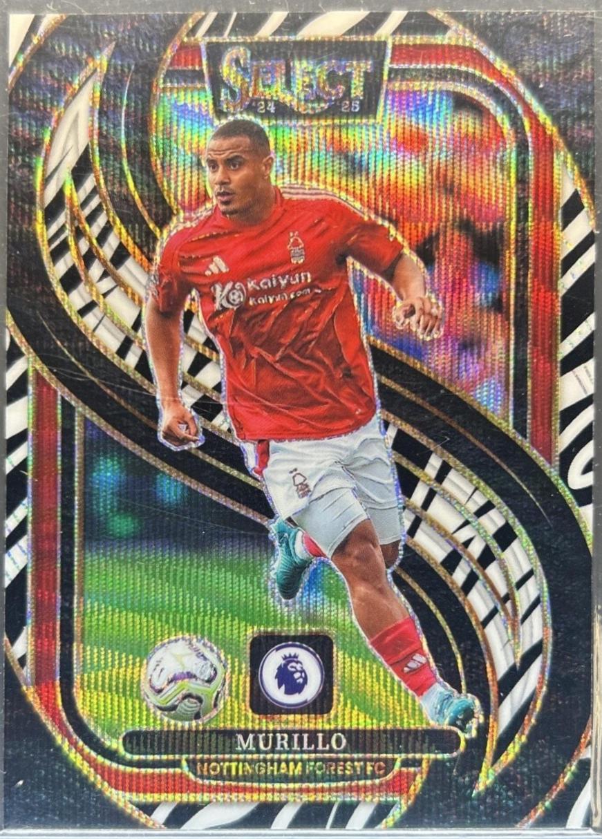 Murillo [Zebra] #172