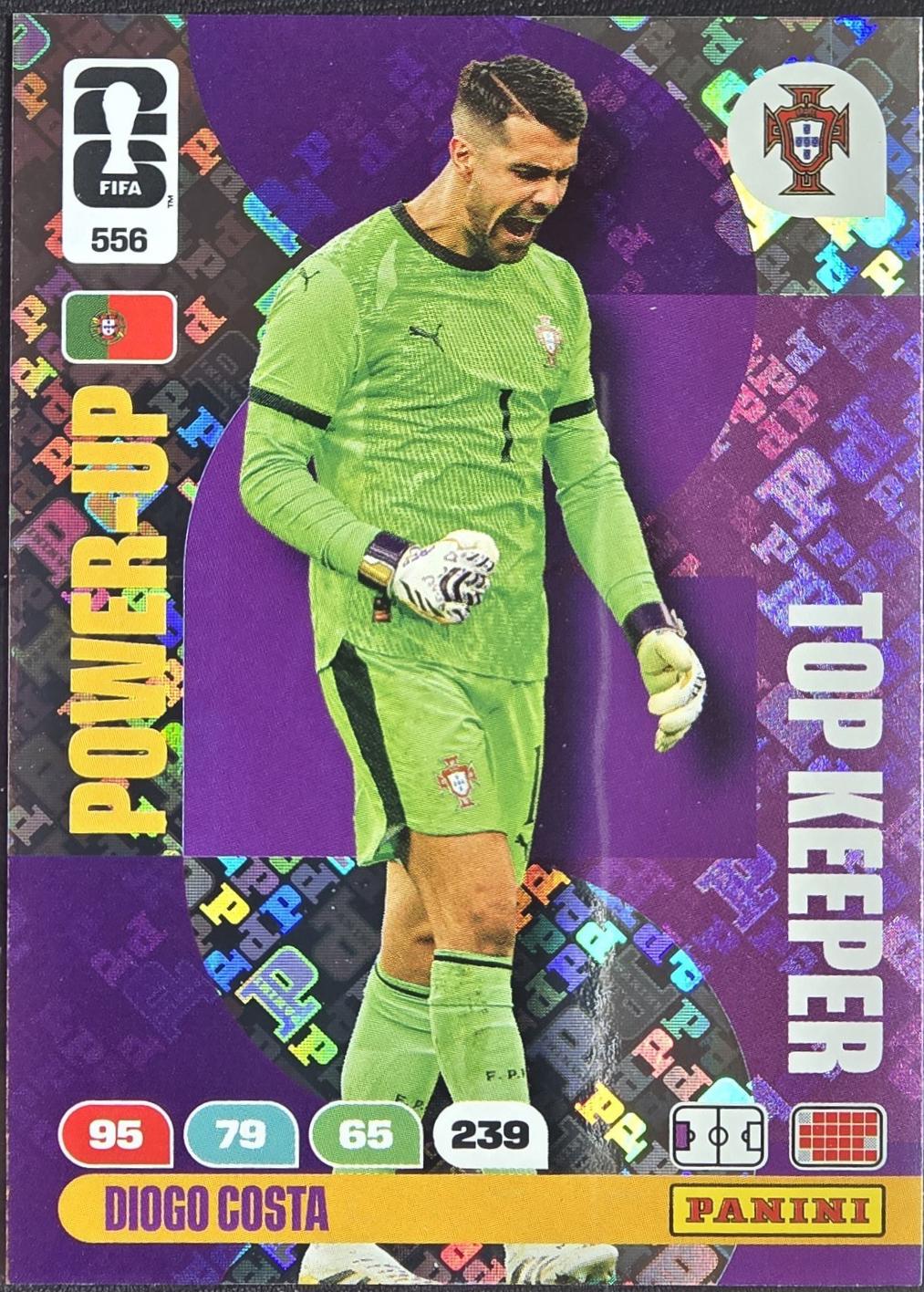 Diogo Costa #556