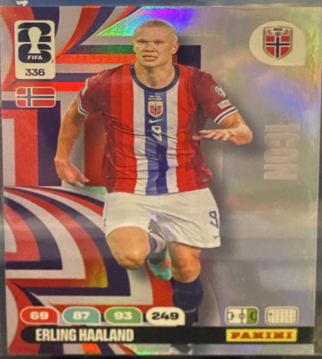 Erling Haaland #336