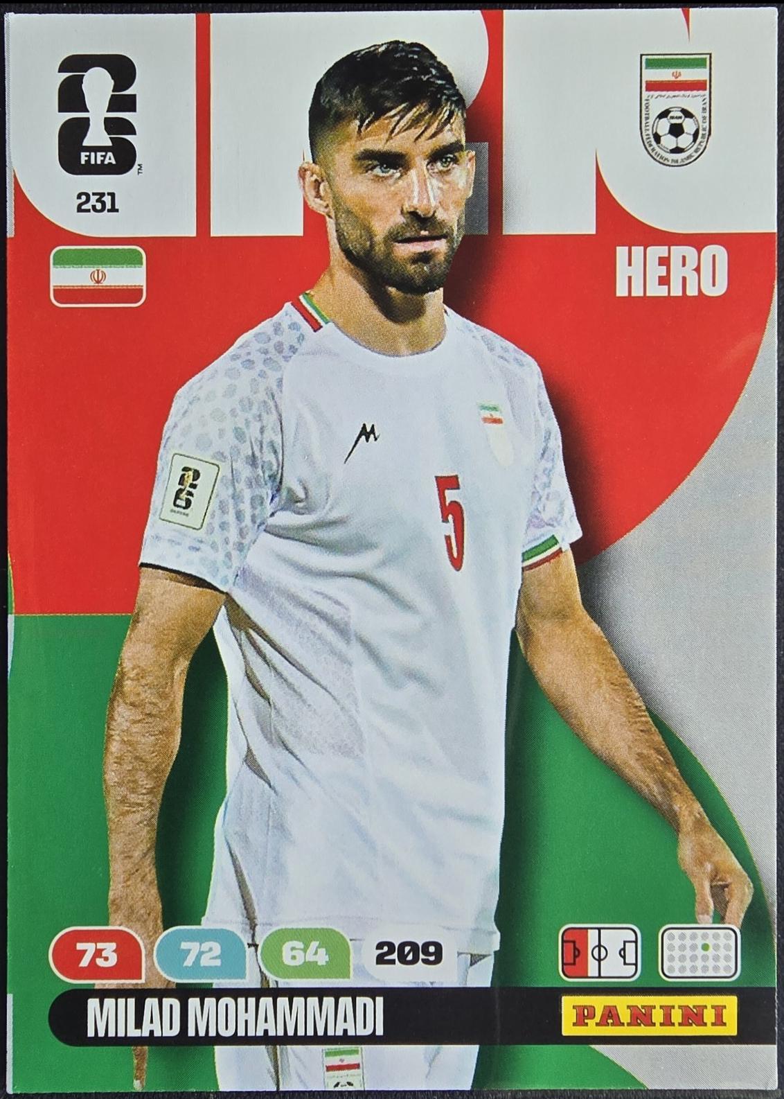 Milad Mohammadi #231