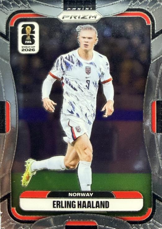 Erling Haaland #333