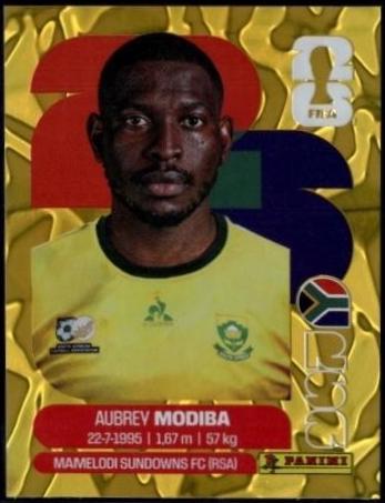Aubrey Modiba [Gold Flood Crumple] #RSA4