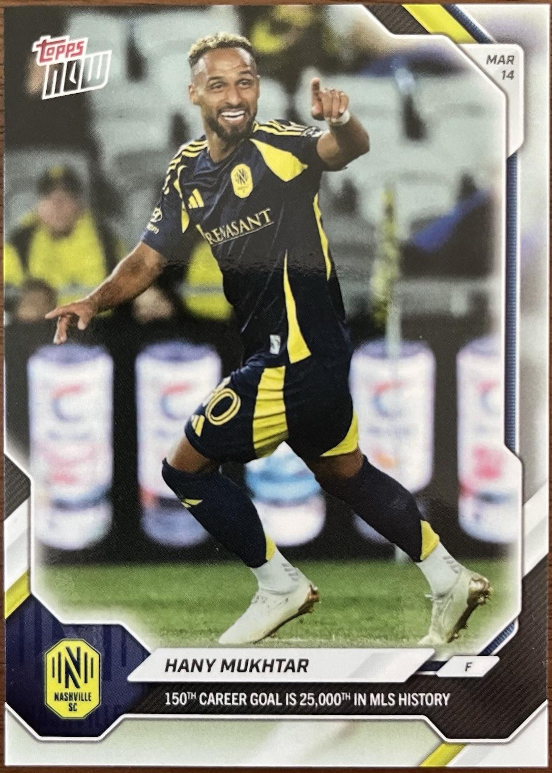 Hany Mukhtar #14