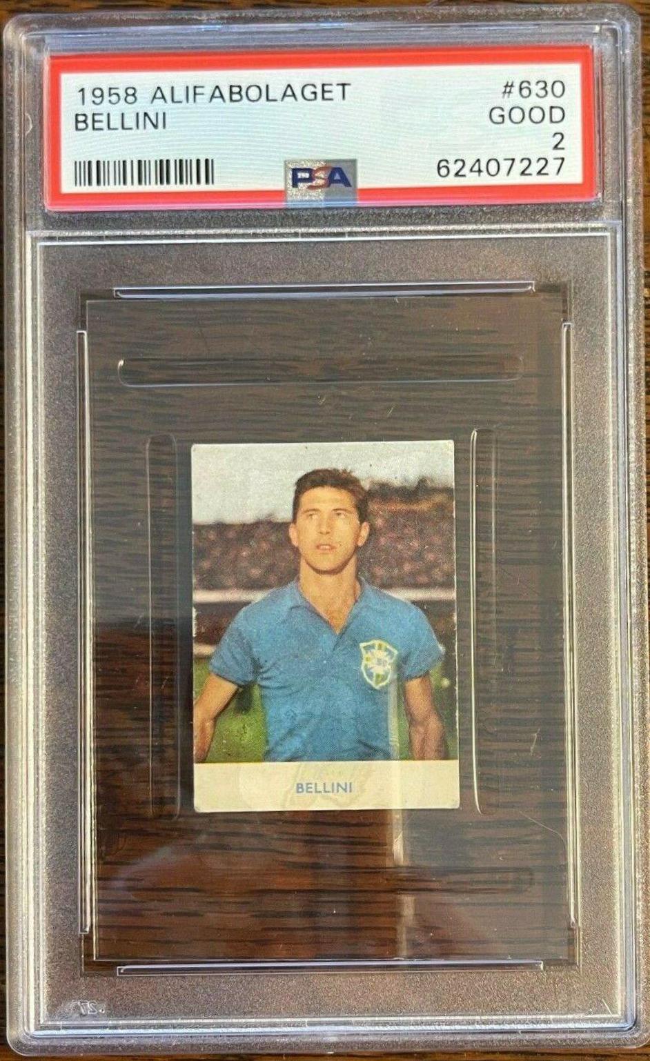 Bellini #630