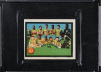 Brazil Team #100