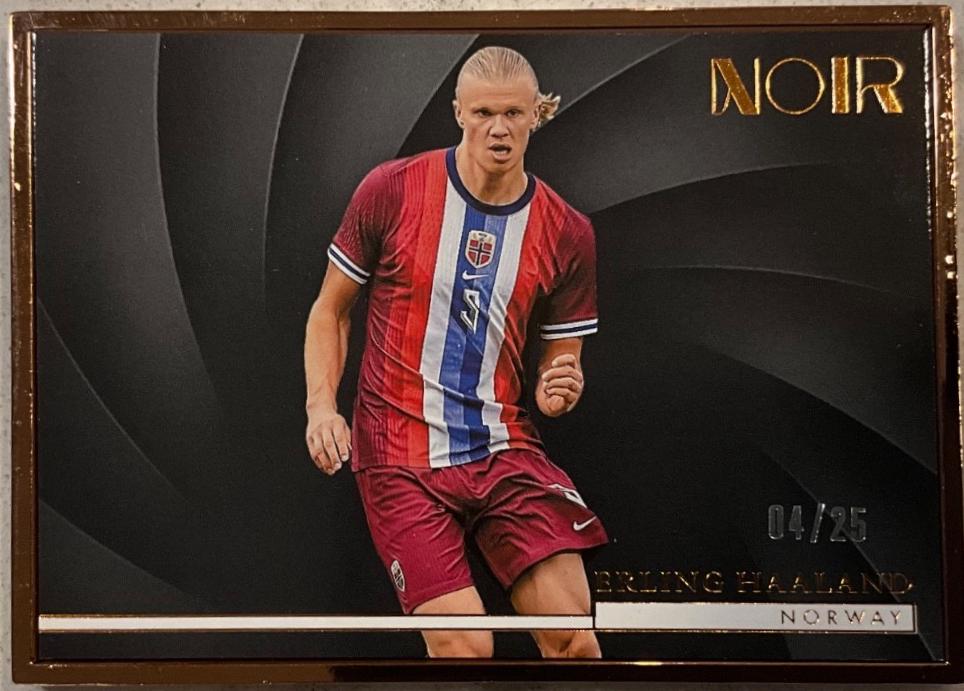 Erling Haaland [Bronze Frame] #106