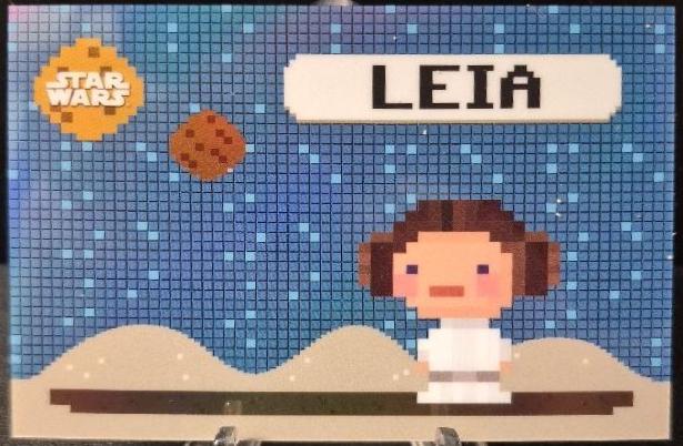 Leia Organa #BO-LO
