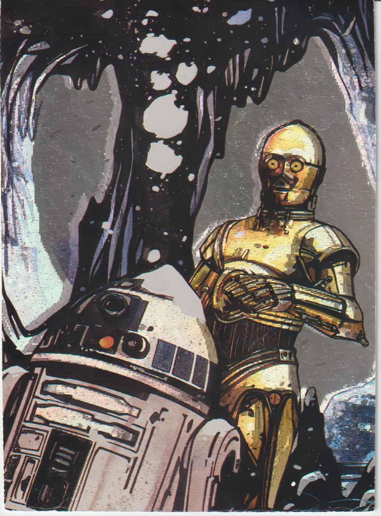 C-3PO & R2-D2 #M2
