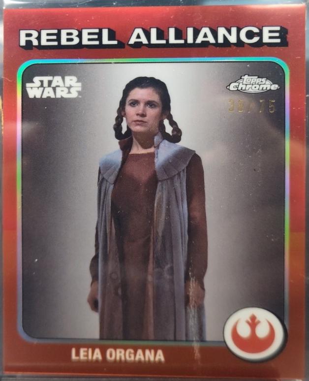 Leia Organa #TB-33
