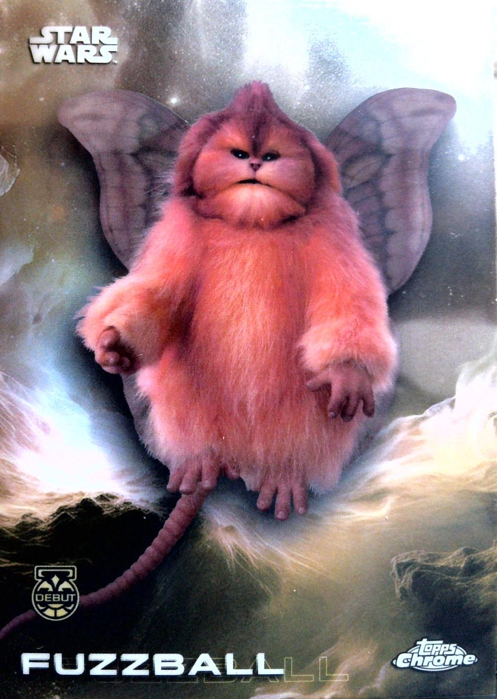 Fuzzball #117