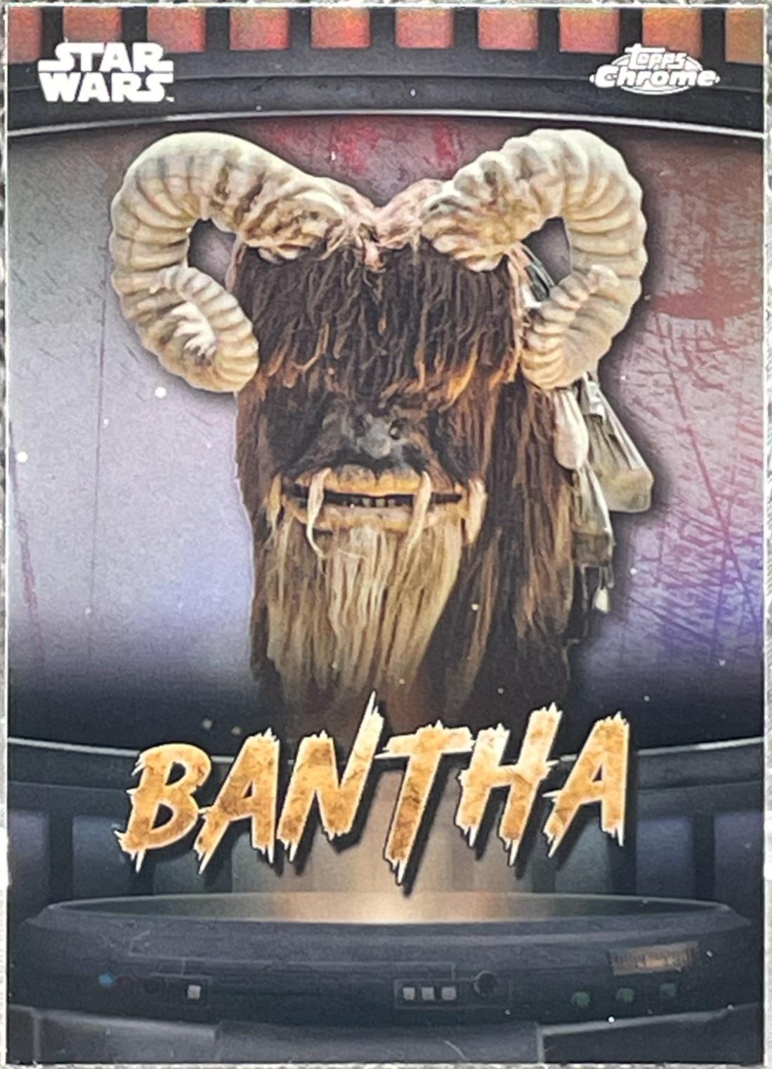 Bantha #BIG-2