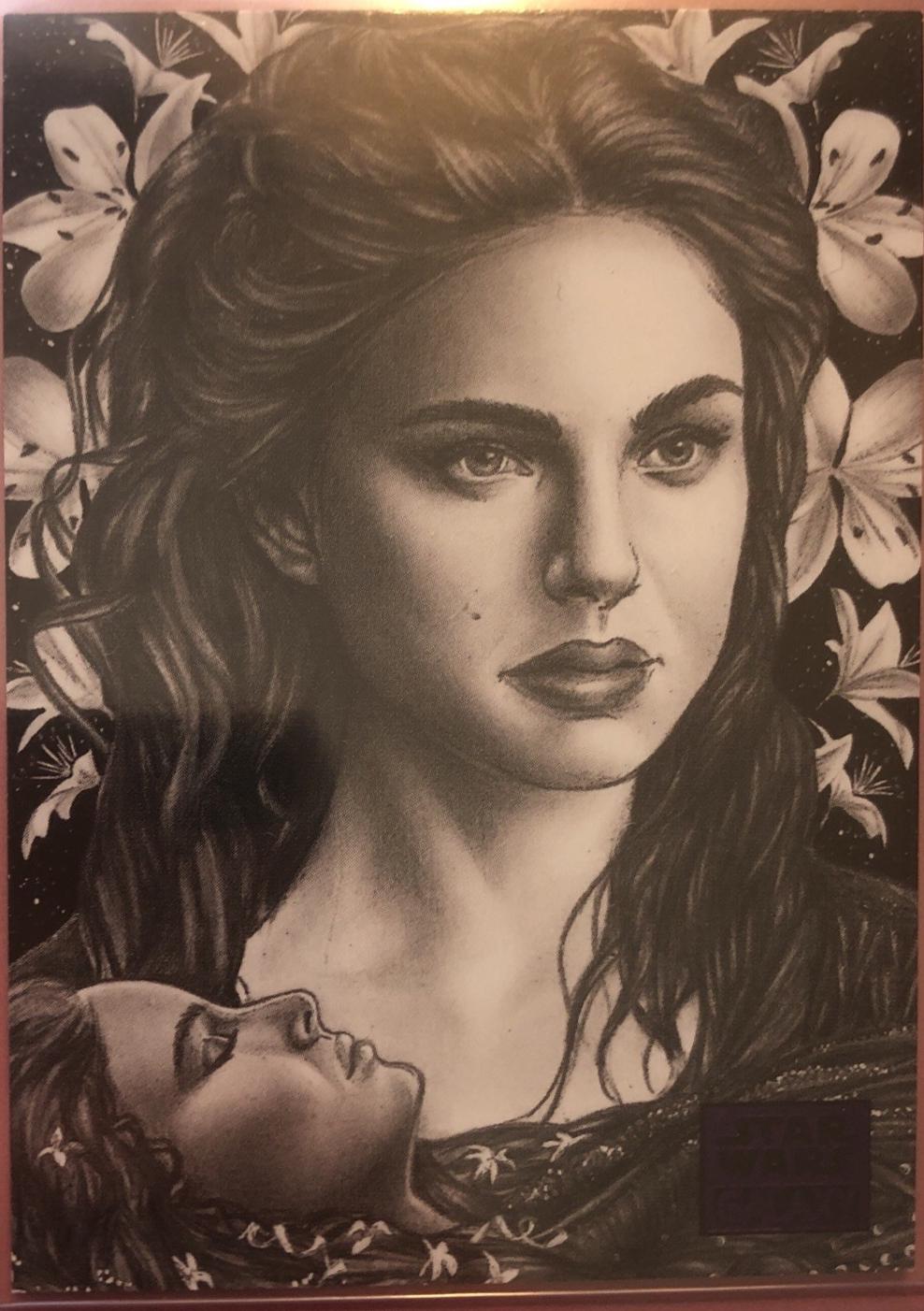 A Lily Among Thorns