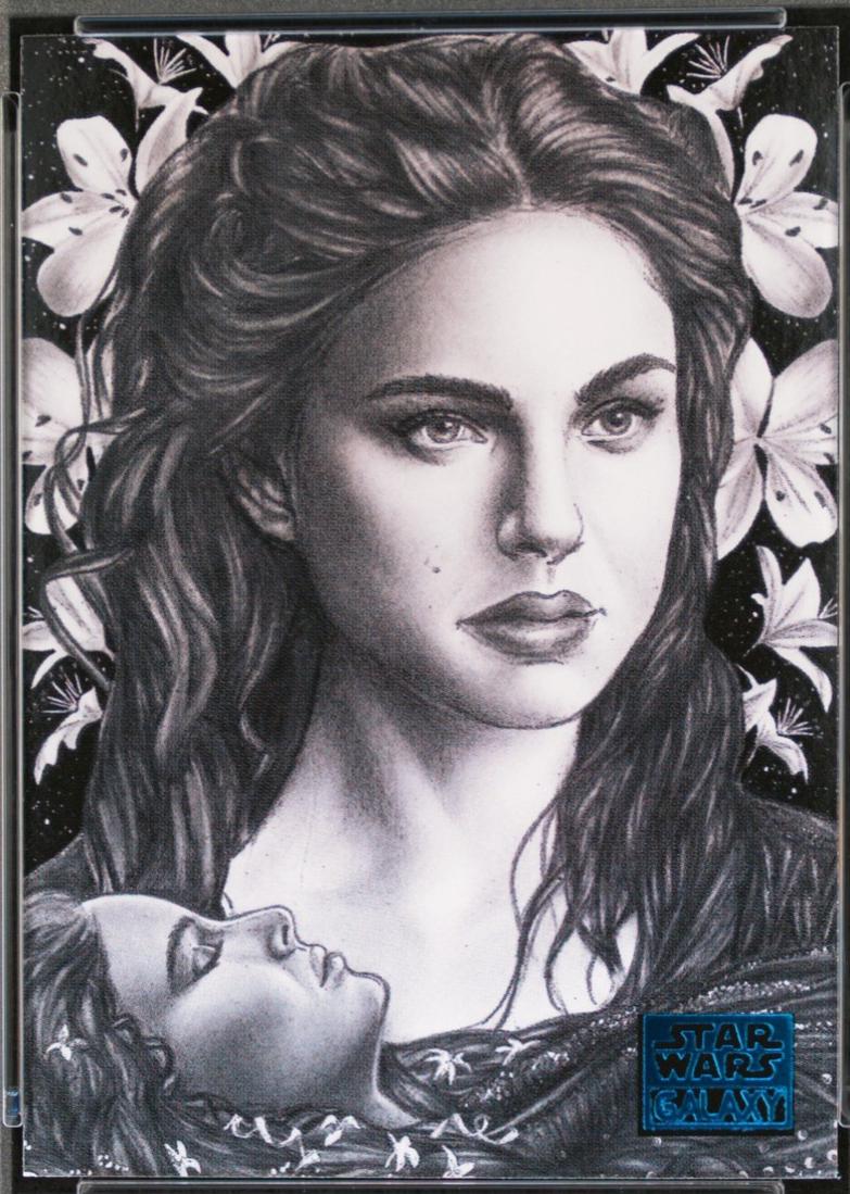 A Lily Among Thorns [Blue] #19