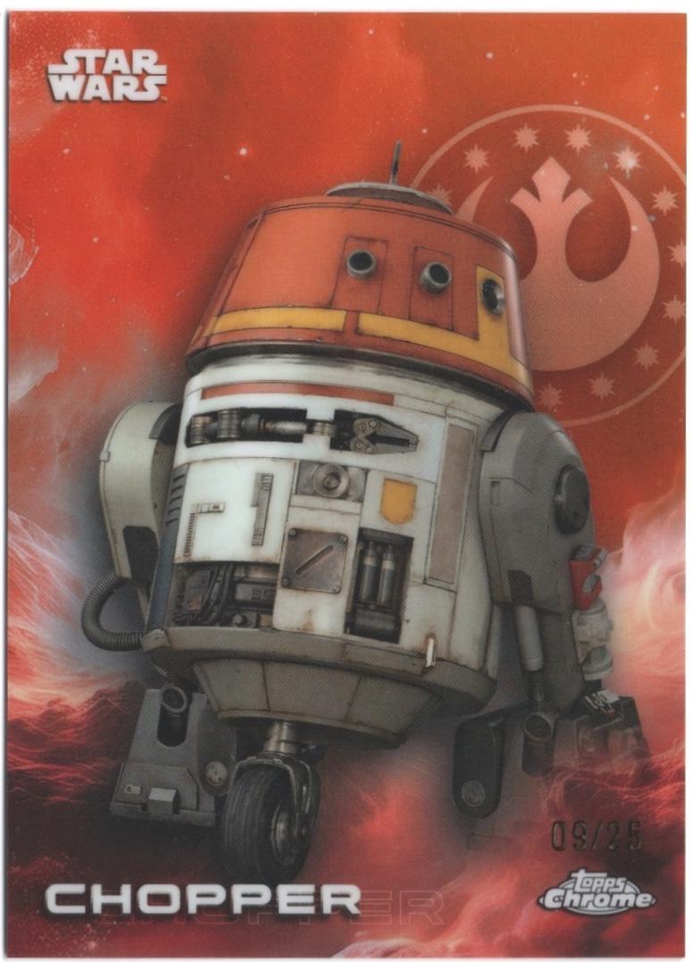 Chopper [Orange Orange] #25
