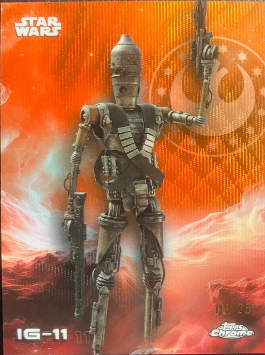 IG-11 [Orange Orange] #60