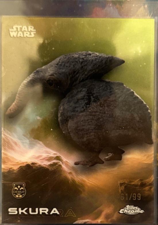 Skura  [Green] #167