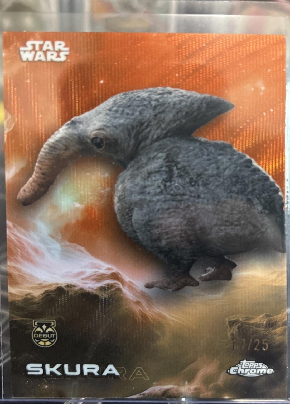 Skura  [Orange Orange] #167