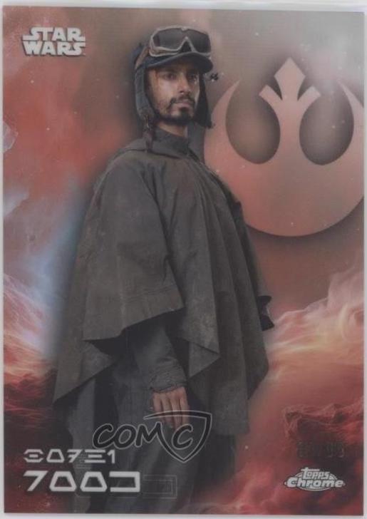 Bodhi Rook #AV-12