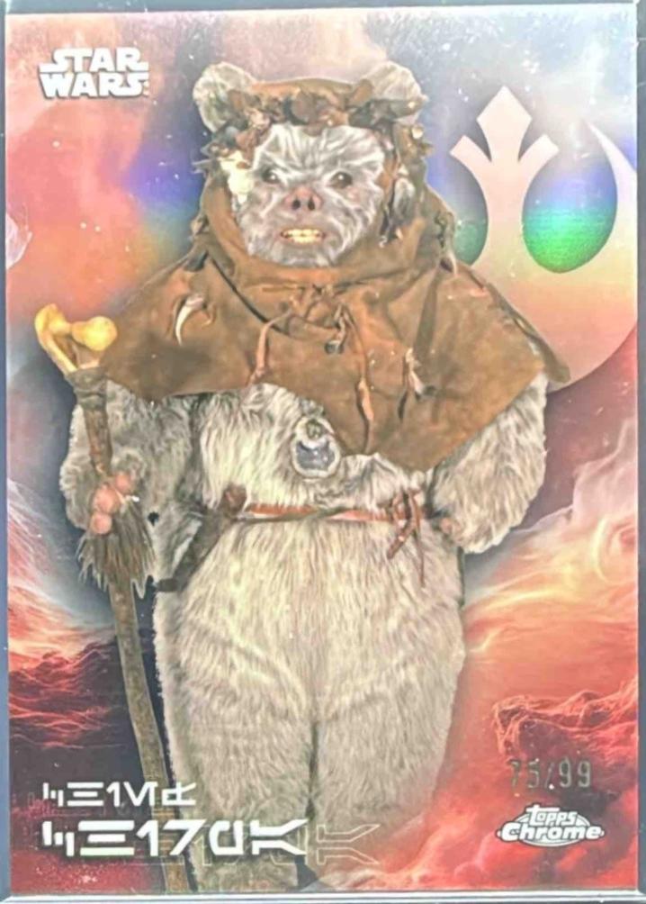 Chief Chirpa #AV-112