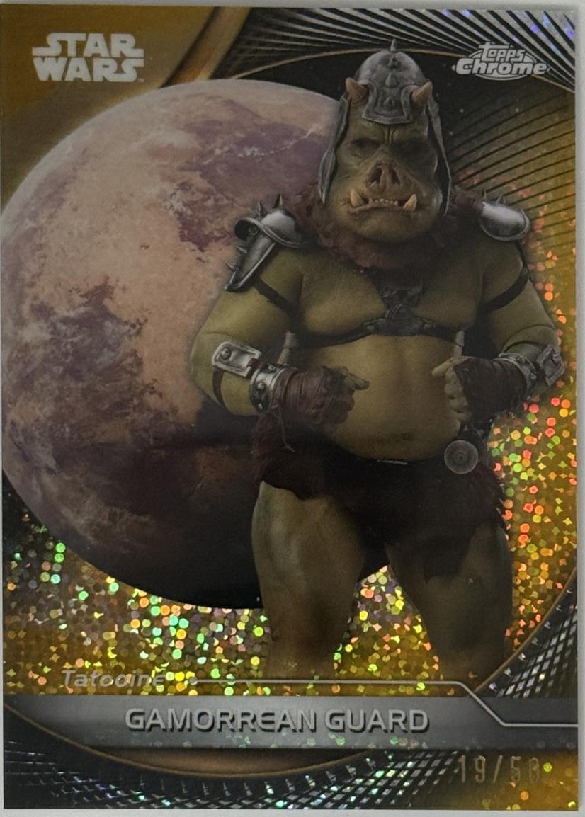 Gamorrean Guard #73