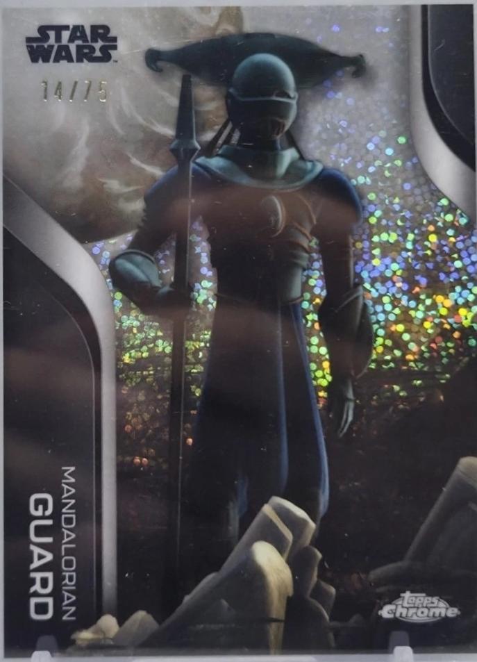 Mandalorian Guard [Galactic Dust] #MOM-4