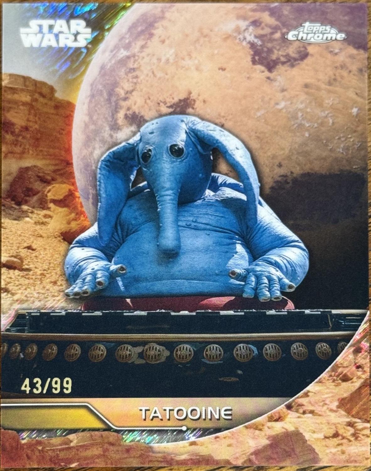 Max Rebo #BPV-81