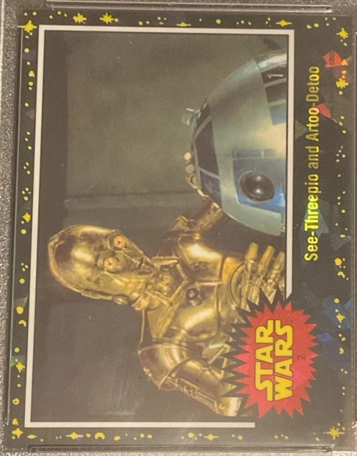 See-Threepio and Artoo-Detoo [Onyx] #2