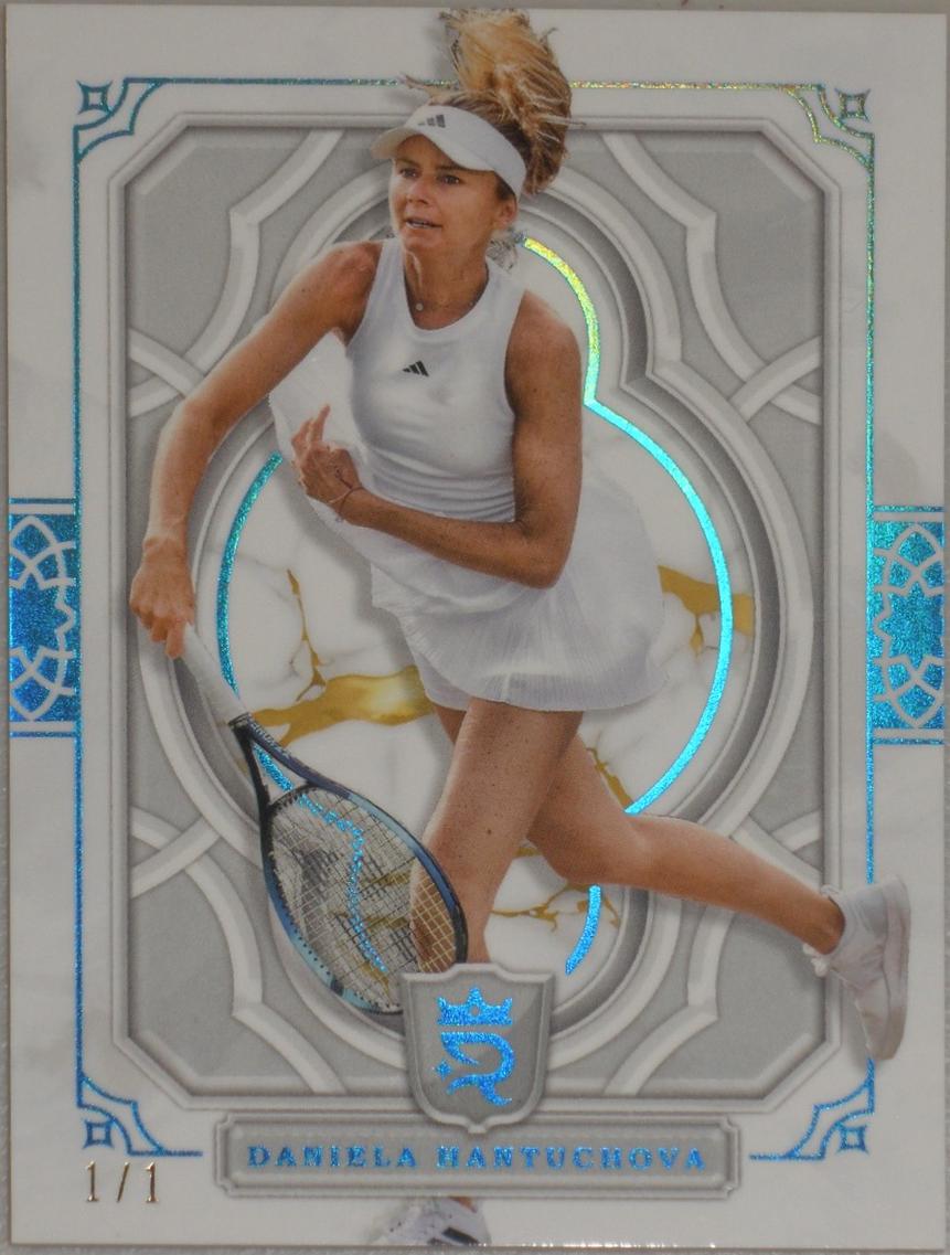 Daniela Hantuchova [Platinum] #86