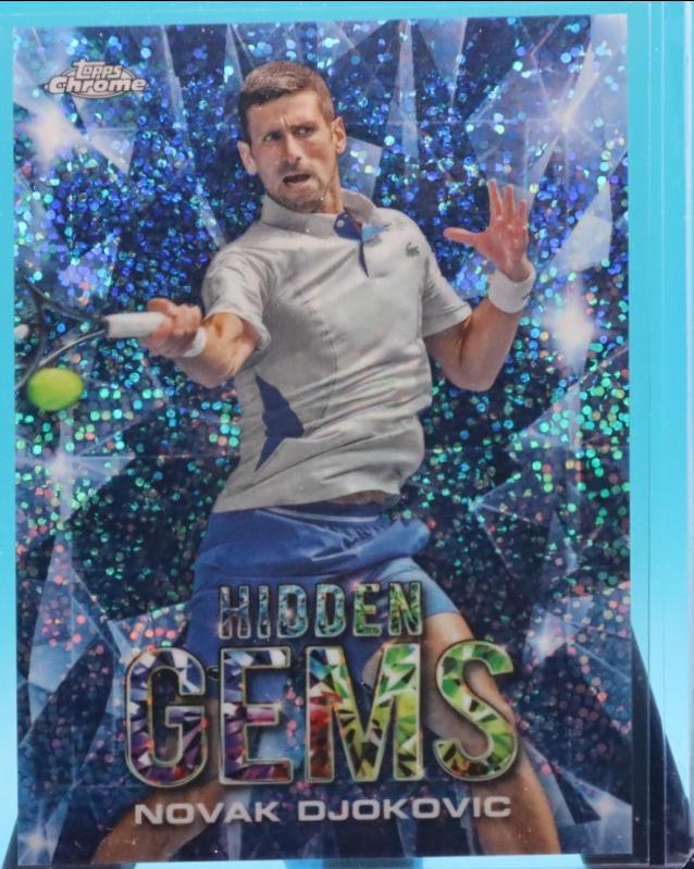 Novak Djokovic #HGS-ND