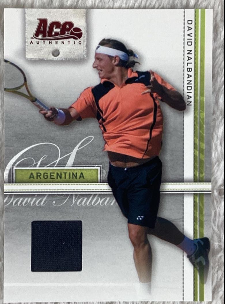 David Nalbandian [Jersey] #11