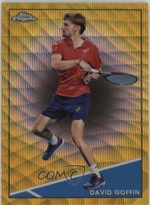 David Goffin [Gold Wave] #26